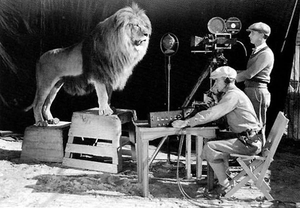 MGM Roar – What’s the Story?