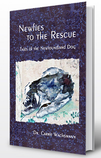 Newfies to the Rescue – Tales of the Newfoundland dog