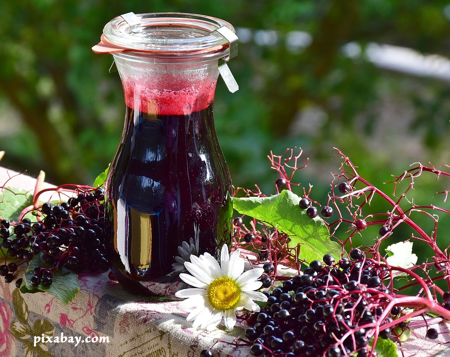 How Elderberry Fights Colds and Flu Virus